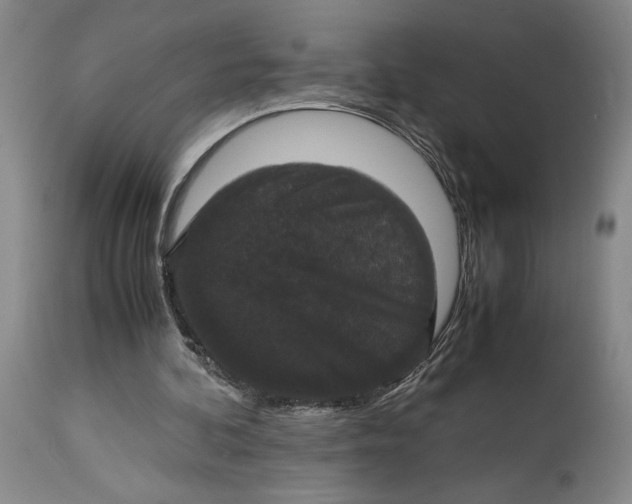 X0000114620292200911101220