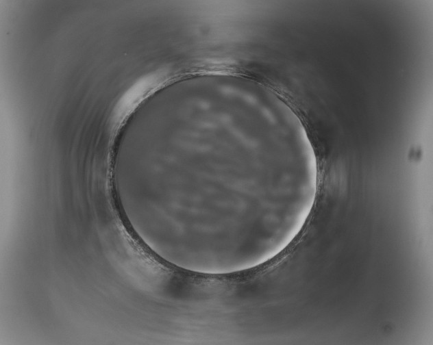 X0000114620293200911101220