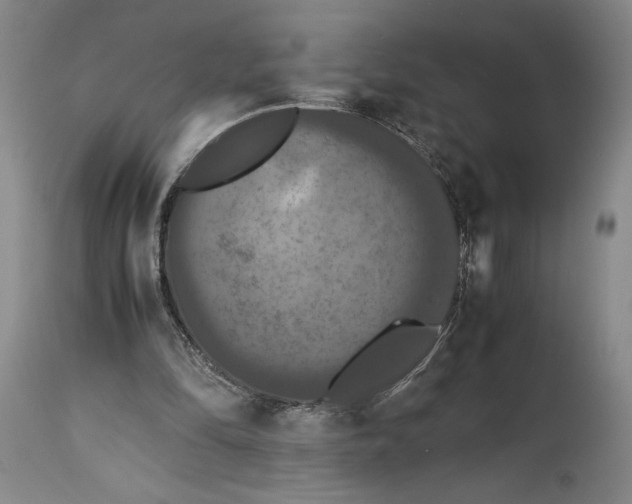 X0000114620294200911101220