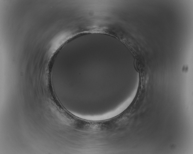 X0000114620295200911101220