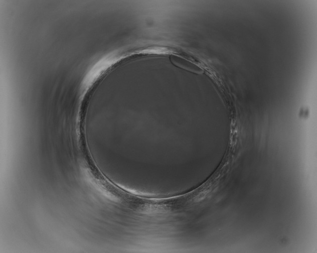 X0000114620296200911101220