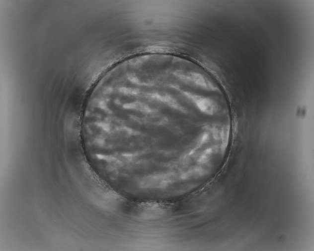 X0000114620297200911101220