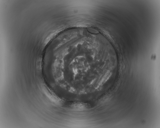 X0000114620299200911101220
