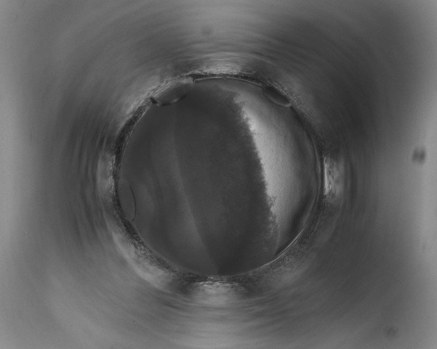 X0000114620300200911101220