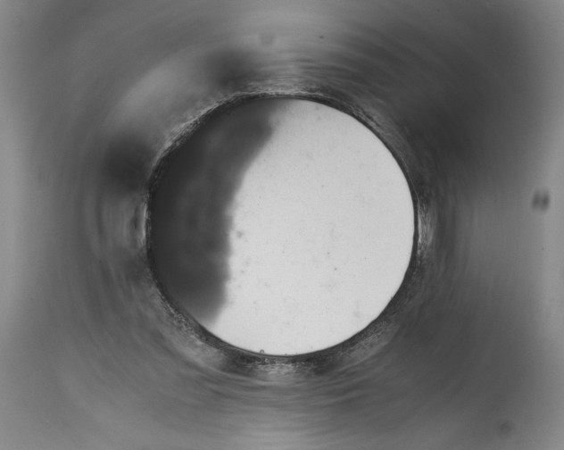X0000114620301200911101220