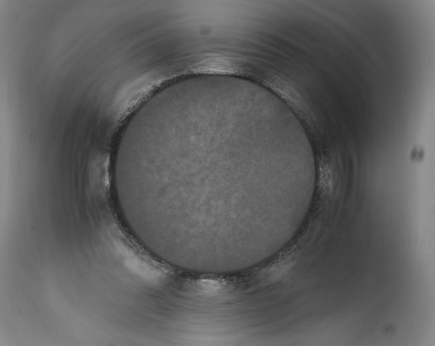 X0000114620302200911101220