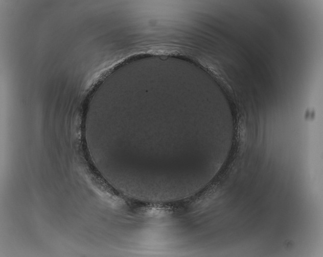 X0000114620303200911101220