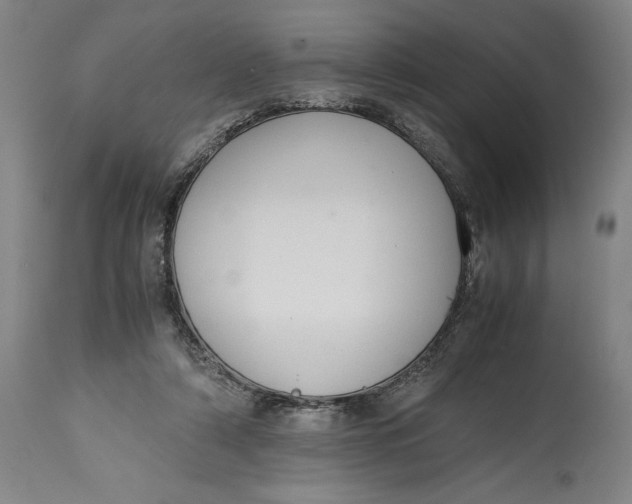X0000114620306200911101220