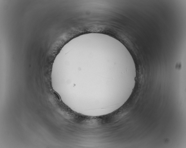 X0000114620307200911101220