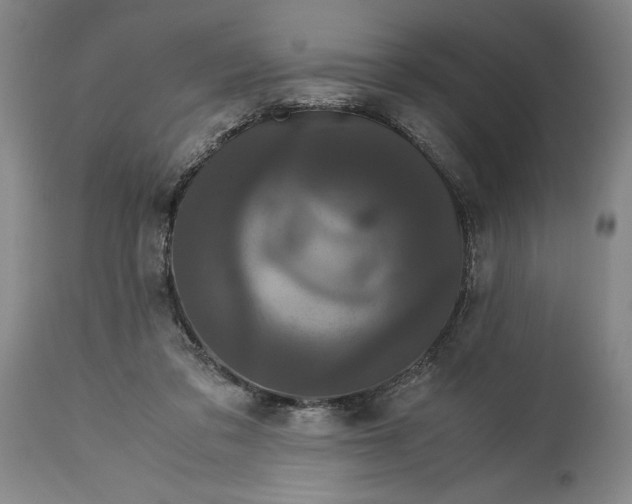 X0000114620309200911101220