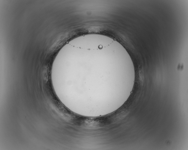 X0000114620311200911101220