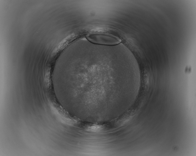 X0000114620312200911101220