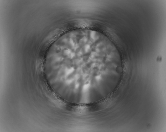 X0000114620313200911101220