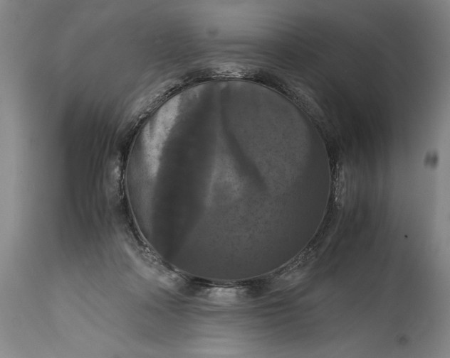 X0000114620314200911101220