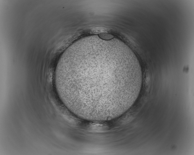 X0000114620315200911101220