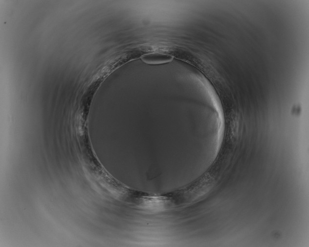 X0000114620316200911101220