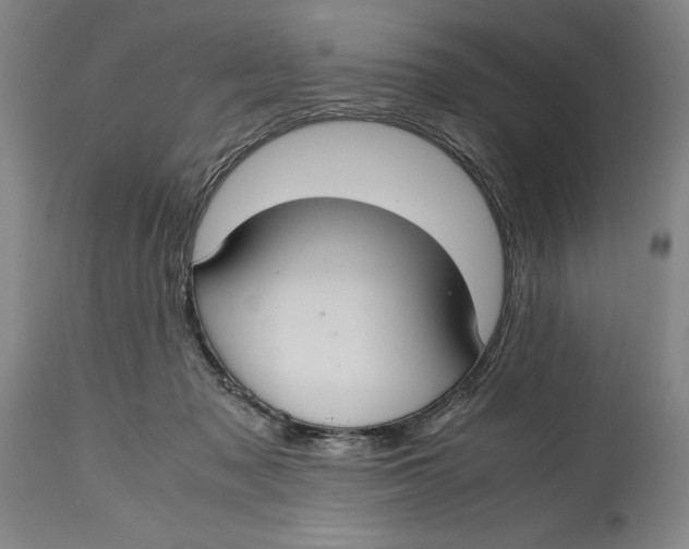 X0000114620317200911101220