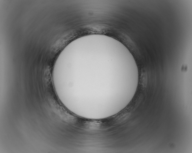 X0000114620318200911101220