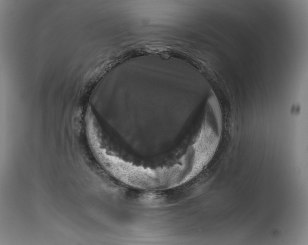 X0000114620319200911101220