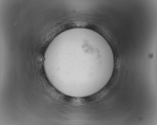 X0000114620321200911101220