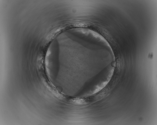 X0000114620322200911101220
