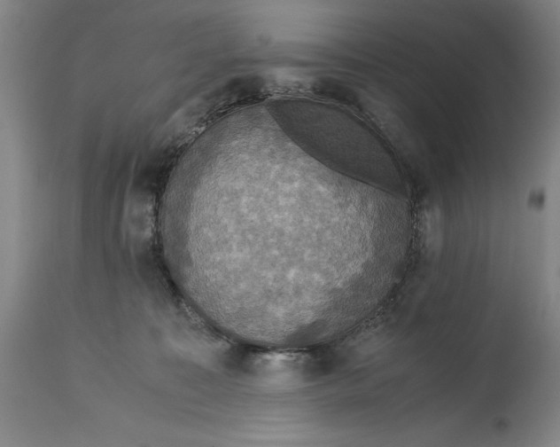 X0000114620323200911101220