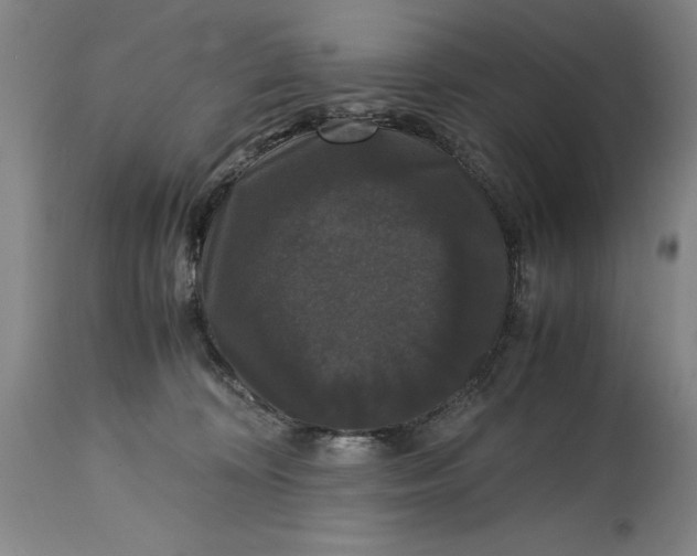 X0000114620324200911101220