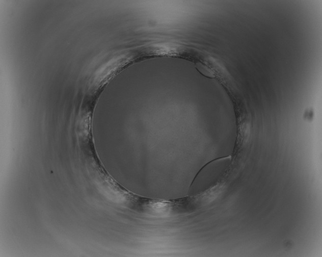 X0000114620325200911101220