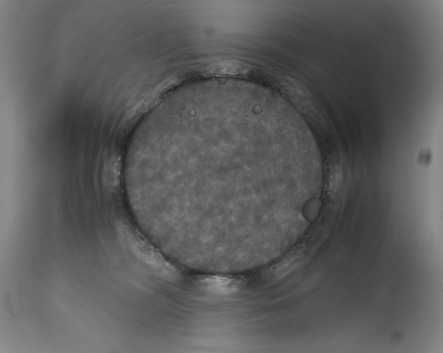 X0000114620326200911101220