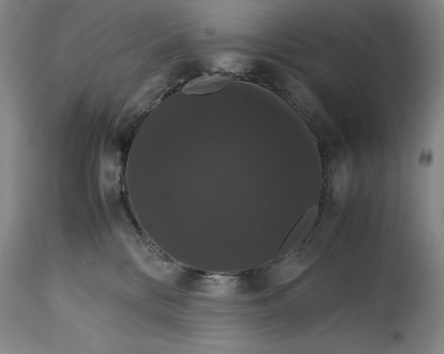 X0000114620328200911101220