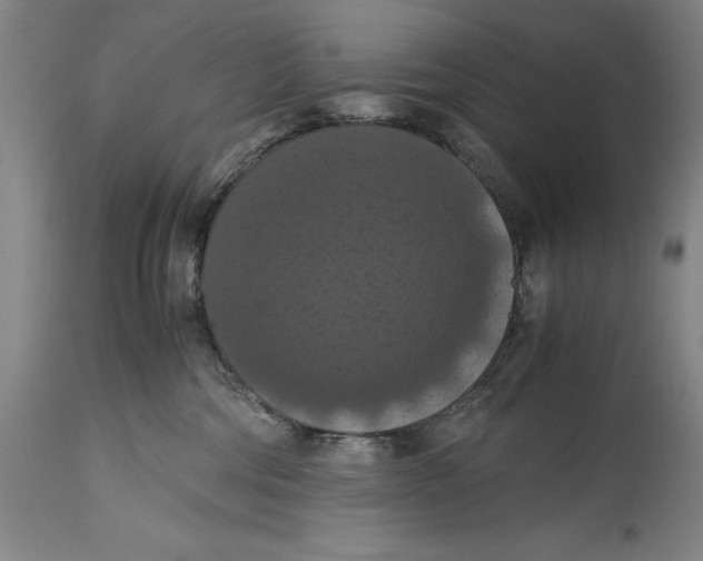 X0000114620330200911101220