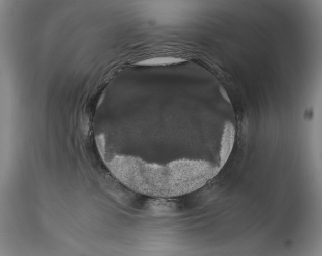 X0000114620331200911101220