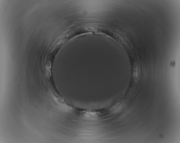 X0000114620332200911101220