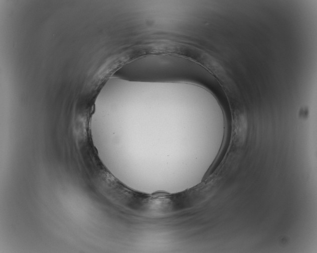 X0000114620333200911101220