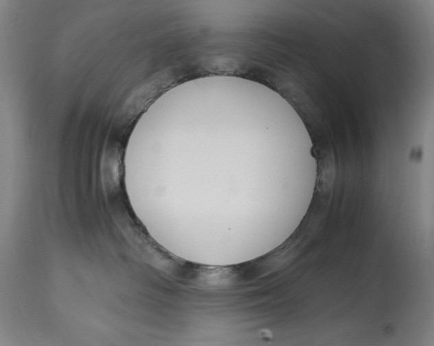 X0000114620334200911101220