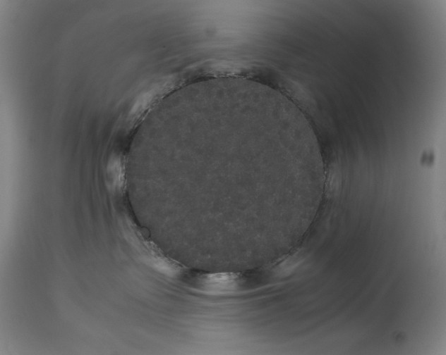 X0000114620335200911101220