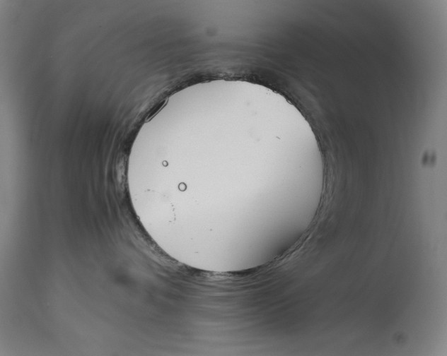 X0000114620336200911101220