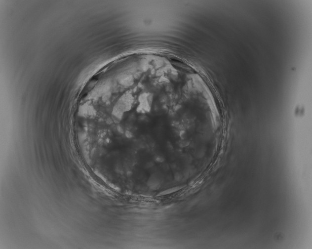 X0000114620337200911101219