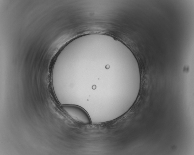 X0000114620338200911101219
