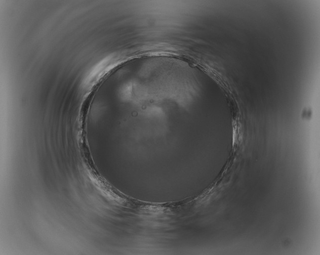 X0000114620339200911101219