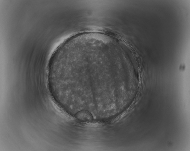 X0000114620342200911101219