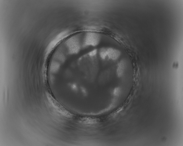 X0000114620343200911101219