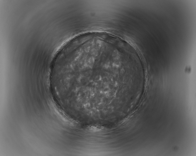X0000114620346200911101219