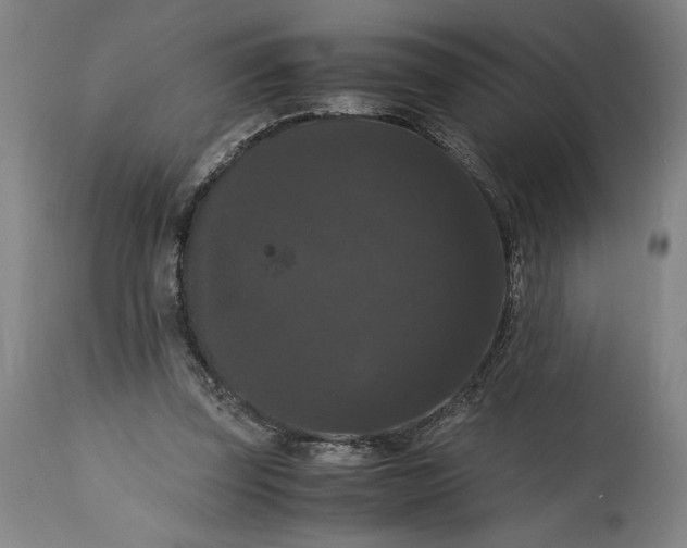 X0000114620347200911101219