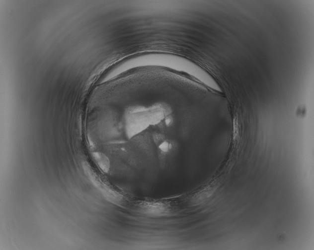 X0000114620349200911101219
