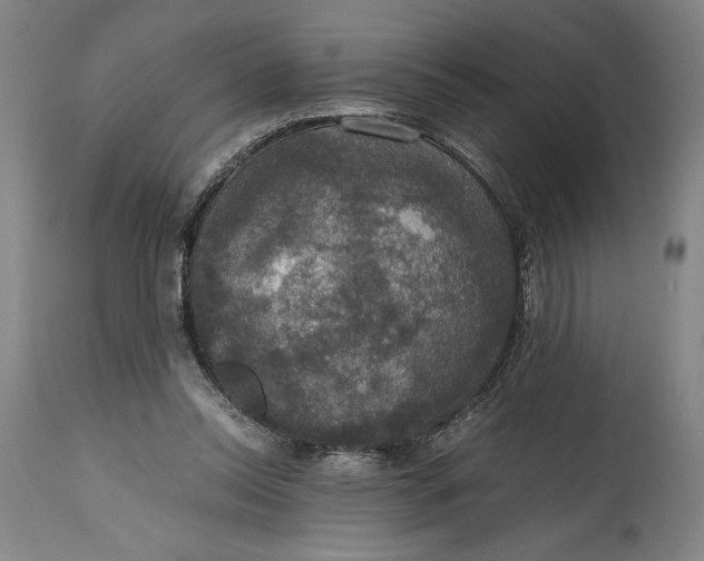 X0000114620350200911101219