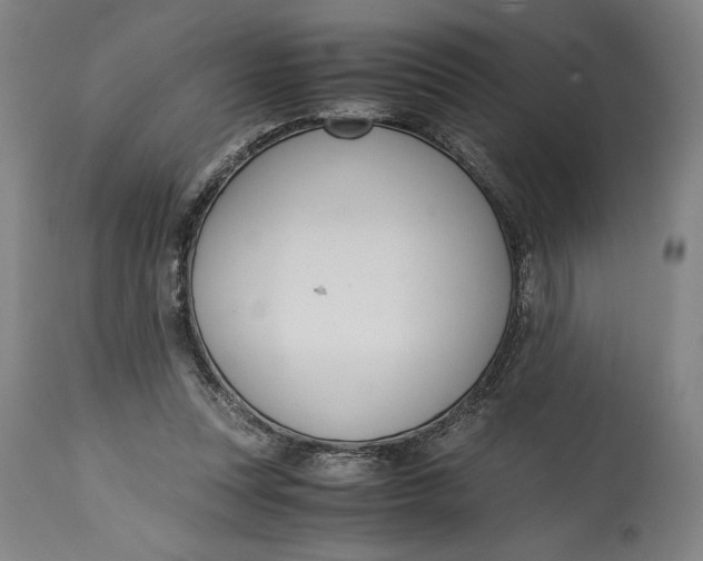 X0000114620351200911101219