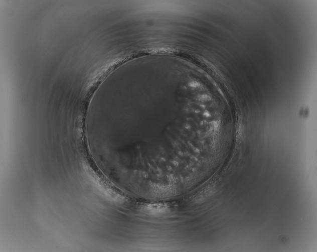 X0000114620353200911101219