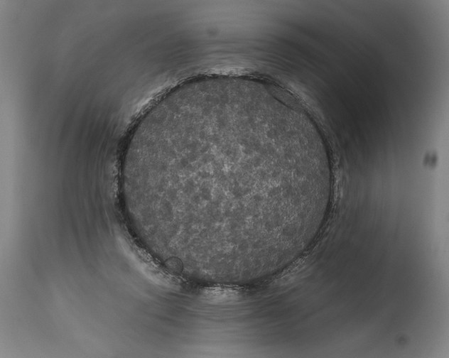 X0000114620354200911101219