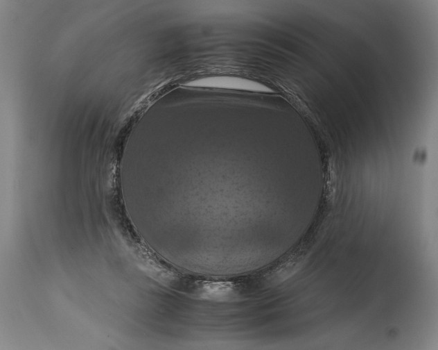 X0000114620355200911101219